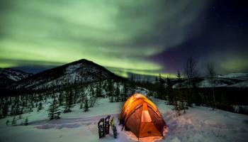 Northern lights put on a show during a winter camping trip at Caribou Bluff, White Mountains NRA, Alaska