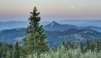 View of forest and Pilot Rock from the Pacific Crest Trail in the Cascade-Siskiyou National Monument, Oregon